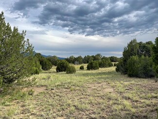 TBD(#93) Rancho Verde Rd, Trinidad, CO 81082