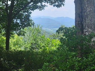 Lot 24 Double Knob Dr, Hayesville, NC 28904