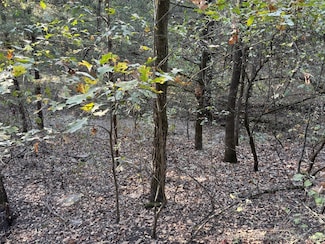 0 Chestnut Ln E Unit 2543927, Calera, OK 74730