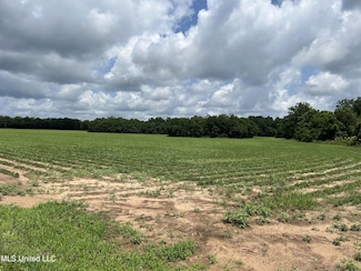 28 Acres Harmon Pope Rd, Lucedale, MS 39452