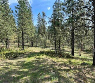 xxx Junco Way, Kettle Falls, WA 99141