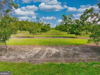 0 Gravel Hill Rd Unit 10542457, Bridgeboro, GA 31705
