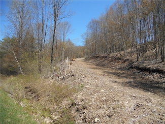 2430 Pine Swamp Rd, Sidney Center, NY 13839