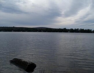 Lot 1 Mcgregor Rd, Lincoln, ME 04457