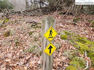 TBD Staghorn Hollow Rd, Beech Mountain, NC 28604