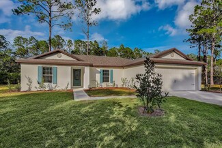 24 Round Mill Ln, Palm Coast, FL 32164