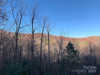TBD (Lot 19) Wolf Den Ln, Lenoir, NC 28645