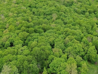 0 Tbd Ne Rock Lake Rd Unit 24708710, Rochert, MN 56578