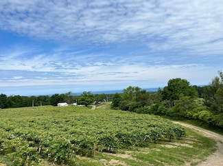 0 Vl Colt Rd Unit Lot WP001, Portland, NY 14769