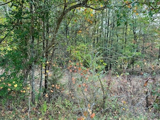 LT 9,10,11 Evans Cir, Jasper, AL 35501