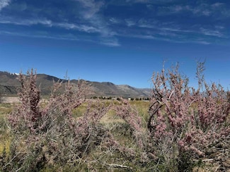Hare Ct E Side Ln Unit 51-003, Coleville, CA 96107