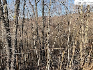 134 Lower Snowbird Trail, Beech Mountain, NC 28604