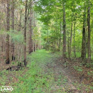 0 Highway 331 Unit 22564000, Sprague, AL 36105