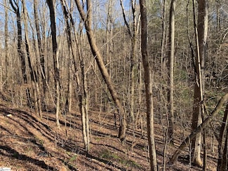 00 Saw Mill Rd, Marietta, SC 29661