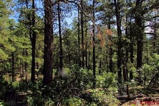 115 S Squaw Canyon Place, Pagosa Springs, CO 81147