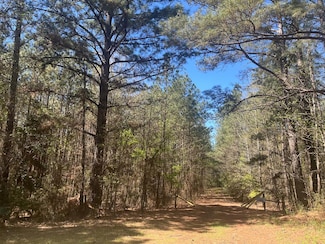41.5 ac County Road 857, Nacogdoches, TX 75964