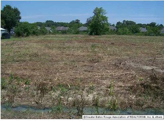 16406 Newman Nickens Rd, Prairieville, LA 70769