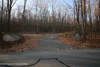 0 Living Waters Rd, Jefferson Township, PA 18436