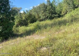 0 Point Caswell Rd, Willard, NC 28478