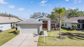 11545 Weaver Park Ct, Trinity, FL 34655