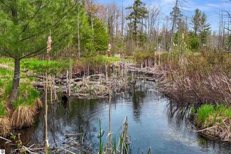 0 Dubonnet Trail, Interlochen, MI 49643