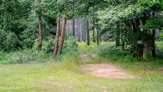0000 Pleasant Ridge Rd, Hickory, MS 39332