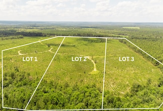 Lot 1 3 Notch Rd, Monetta, SC 29105
