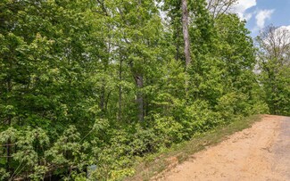 HP29 Old Toccoa Farm, Mineral Bluff, GA 30559