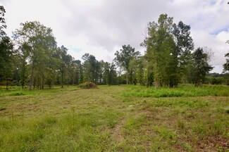 0 Co Rd 1435, Vinemont, AL 35179
