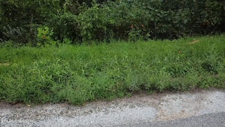 229 Suncrest Cove, Lafollette, TN 37766