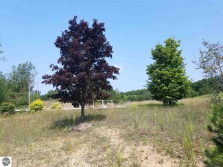 22344 Adams Rd, Copemish, MI 49625