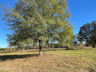 0 Carey Byrd Rd Unit 4129938, Carriere, MS 39426