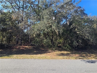 11370 N Ortega Point, Dunnellon, FL 34433