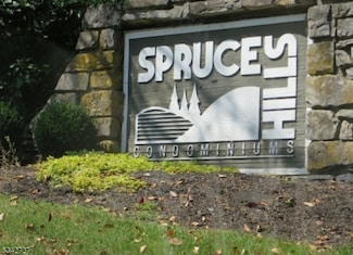 806 Spruce Hills Dr Unit 806, Glen Gardner, NJ 08826