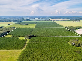 19000 County Road 349, O'Brien, FL 32071
