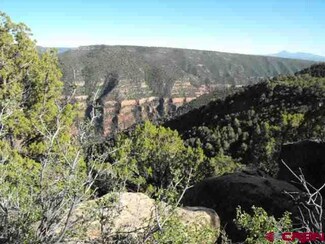 0 Road 11 7 Unit 740189, Dove Creek, CO 81324