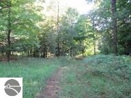 0 23 Rd Unit 1792744, Mesick, MI 49668
