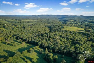 182 Kennel Ln, Flippin, AR 72634