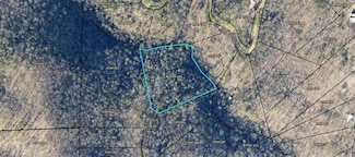 84 Grizzly Ct, Ranger, GA 30734