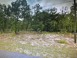 2466 W Swanson Dr, Citrus Springs, FL 34434