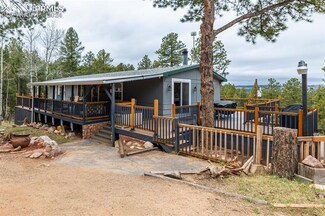 63 Pine Ln, Woodland Park, CO 80863