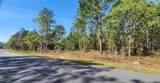 TBD Cr 243b, Wildwood, FL 34785