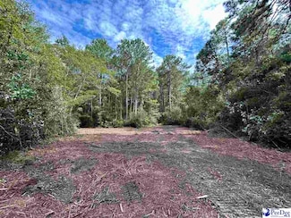 TBD N Us Hwy 52, Cheraw, SC 29520
