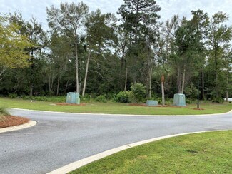 460 Audubon Wynd, Waverly, GA 31565