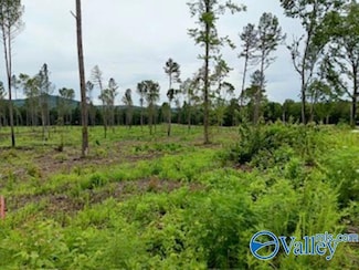 Lot 18 County Road 91, Gaylesville, AL 35973