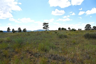 00 1796, Chama, NM 87520