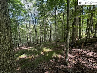 217 Sawmill Branch Rd, Beech Mountain, NC 28604