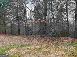 322 Wilsons Creek Bend, Bonaire, GA 31005