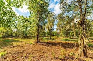 0 County Road 319, Brazoria, TX 77422