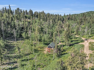 1624 Pine Cone Cir, Coalville, UT 84017